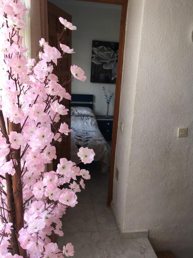 Casa Phoenix Bed & Breakfast Bed & Breakfast ลามารีนา ภายนอก รูปภาพ